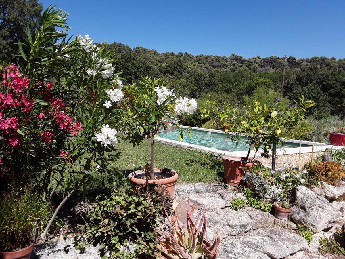 La Petite Maison Vaugines Kültér fotó